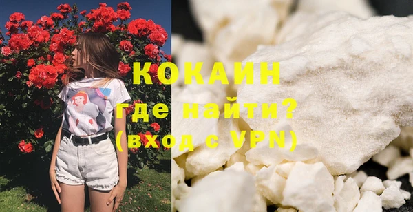 шишки Бежецк