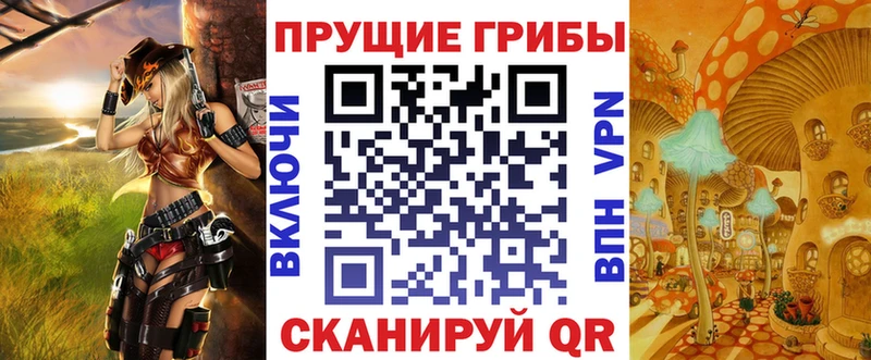 купить  цена  hydra зеркало  Галлюциногенные грибы Psilocybine cubensis  Судогда 