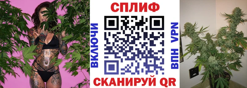 где можно купить   Судогда  МАРИХУАНА AK-47 